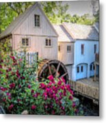 Roses At The Plimoth Grist Mill Metal Print