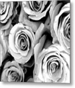 Roses - Black And White Metal Print