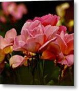 Roses By The Bunch Metal Print