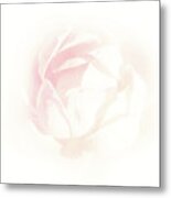 Roses Have Thorns Metal Print