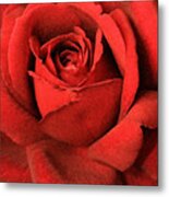 Ruby Rose Metal Print