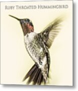 Ruby Throated Hummingbird Metal Print