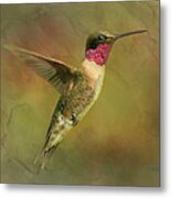 Ruby Throated Hummingbird Inflight Metal Print