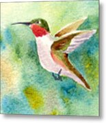 Ruby-throated Hummingbird Metal Print
