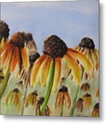 Rudbeckia Hirta Metal Print