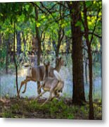 Run Away Metal Print