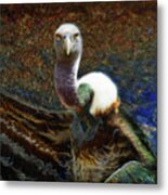 Ruppell's Vulture Metal Print