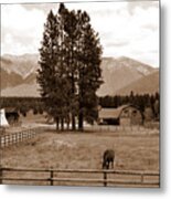 Rural Montana Metal Print