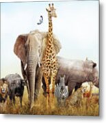 Safari Animals In Africa Composite Metal Print