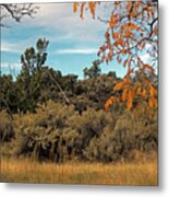 Sagebrush And Lava Metal Print