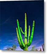 Saguaro Cactus Against Star Filled Sky Metal Print