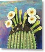 Saguaro Cactus Flower Metal Print