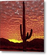 Saguaro Sunrise Metal Print