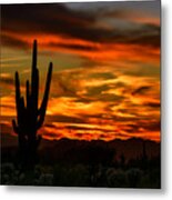 Saguaro Sunset H51 Metal Print