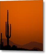 Saguaro Sunset Metal Print
