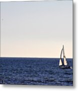 Sailing In Santa Monica Ii Metal Print