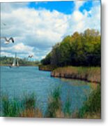 Sails In The Distance Metal Print