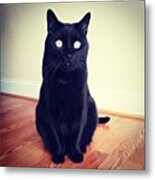 Salem Metal Print