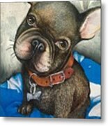 Sammy The French Bulldog Metal Print