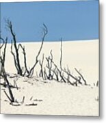 Sand Dune With Dead Trees Metal Print