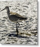 Sandpiper Metal Print