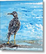 Sandpiper Metal Print