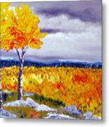 Santa Fe Aspens Series 7 Of 8 Metal Print