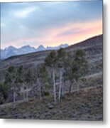 Sawtooth Light Metal Print