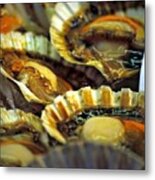 Scallops At Rialto Market In Venice Metal Print