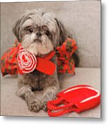 Scarlett And Red Purse Metal Print