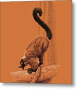 Screaming Lemur Metal Print