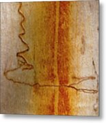 Scribbly Gum Bark Metal Print