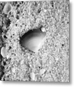 Sea Shell In Fine Wet Sand Macro Black And White Metal Print