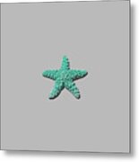 Sea Star Aqua .png Metal Print