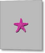 Sea Star Pink .png Metal Print