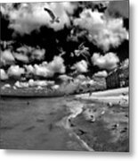 Seagulls Metal Print