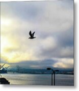 Seahawkin Metal Print