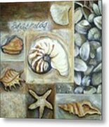 Seashells Metal Print