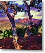 Sedona # 48 - Courthouse And Cathedral Rocks Metal Print