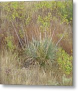 September's Prairie Poetry Metal Print