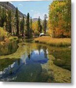 Serene Stream Metal Print