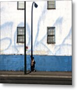 Shadowman Got The Blues Metal Print