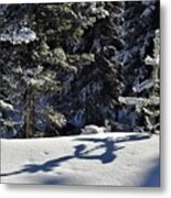 Shadows In The Snow Metal Print