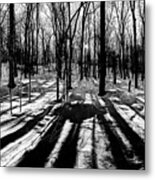 Shadows On The Snowy Landscape Metal Print