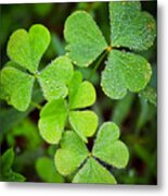 Shamrock Green Metal Print