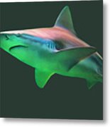 Shark On The Prowl - Perfect Predator Of The Deep Metal Print