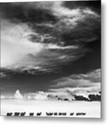 Sheep In Snow, Alnmouth, Northumberland Metal Print