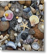 Shells And Pebbles Metal Print