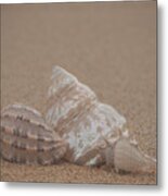 Shells On The Beach Metal Print