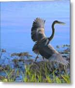 Shore Walk Metal Print